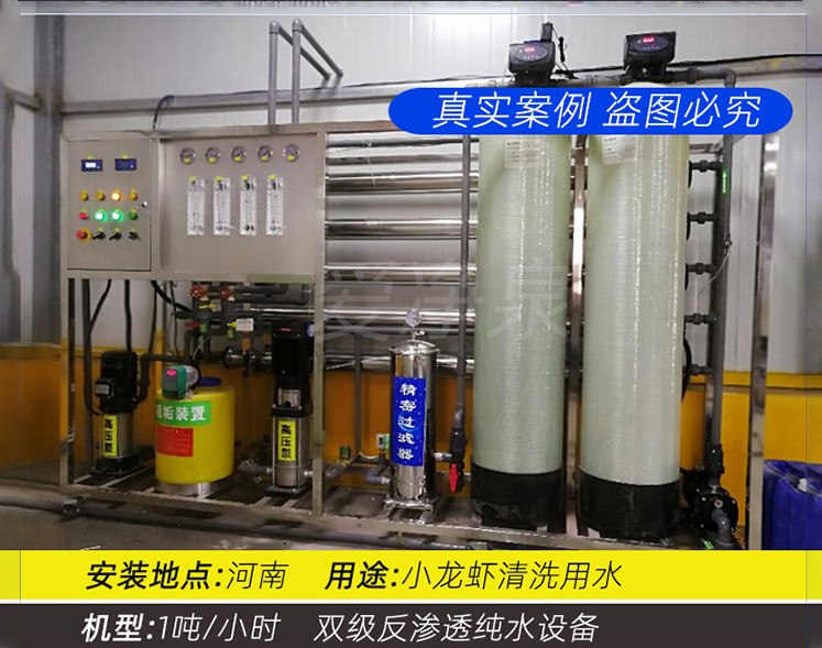 河南 1吨/小时 双级反渗透纯水设备